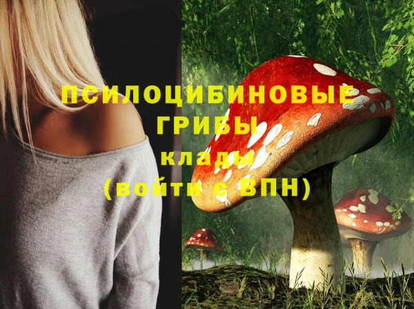 ALPHA PVP Баксан