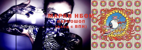 прущие грибы Балахна