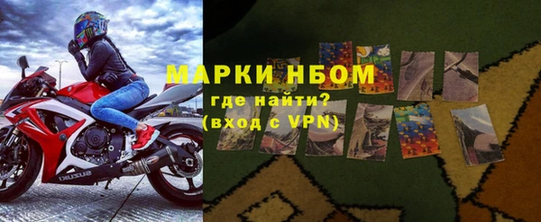 прущие грибы Балахна