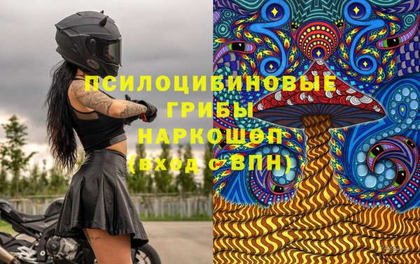 прущие грибы Балахна