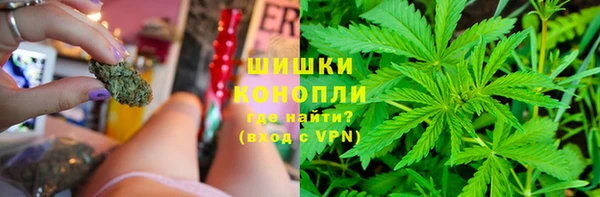 прущие грибы Балахна