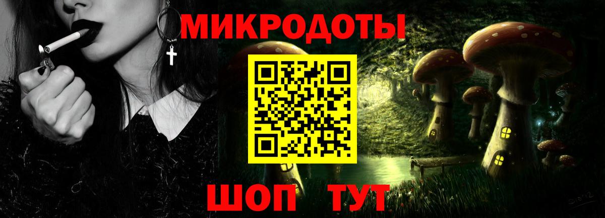 Псилоцибиновые грибы Psilocybine cubensis  Вход с VPN  Сегежа  как найти   Псилоцибиновые грибы прущие грибы 
